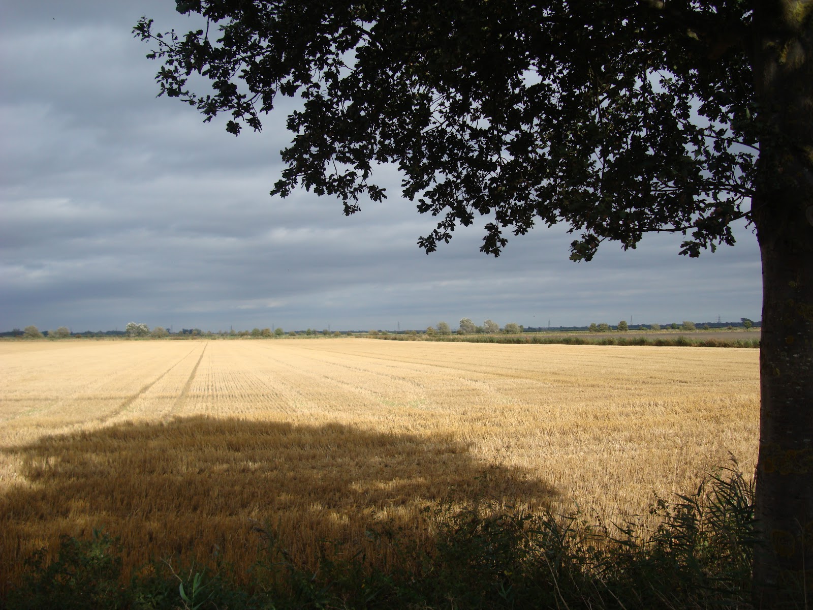 DSC09857.JPG