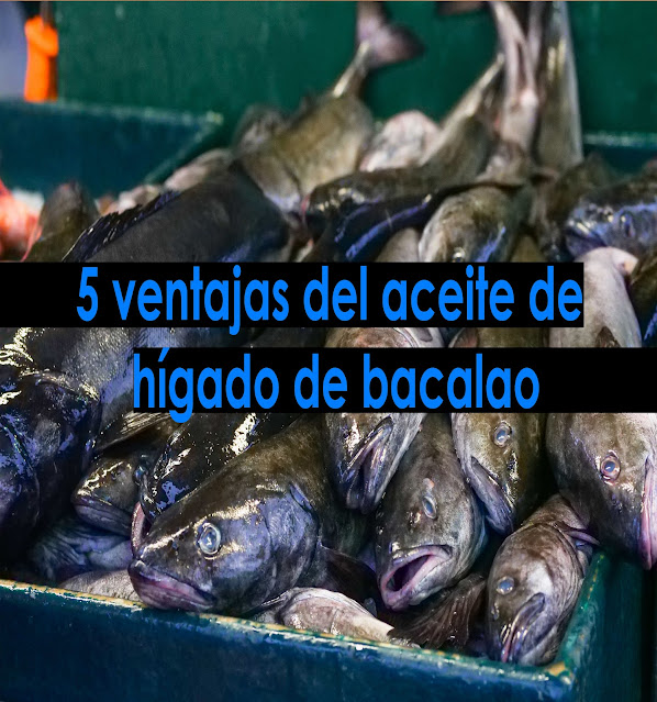 5 ventajas del aceite de hígado de bacalao