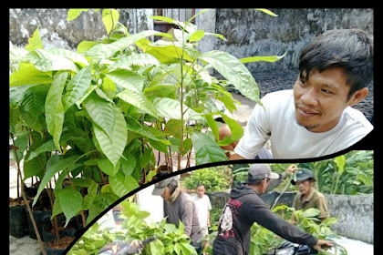 Wartawan Lampung Bangun Rumah Pembibitan untuk Dukung Petani