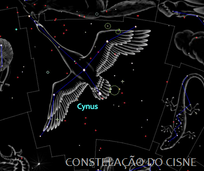 Cygnus - ilustração