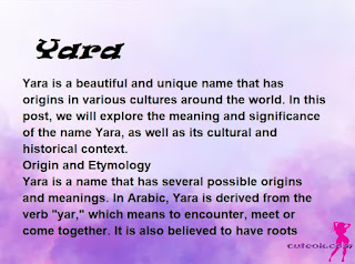 meaning of the name "Yara"