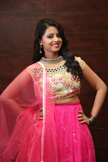 Geethanjali sizzles in Pink at Mixture Potlam Movie Audio Launch 031.JPG