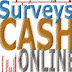 Earn through Online Surveys