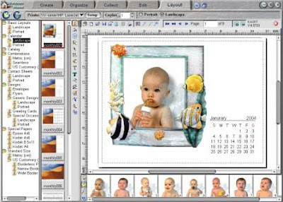 3D-Album PicturePro Platinum 3.1