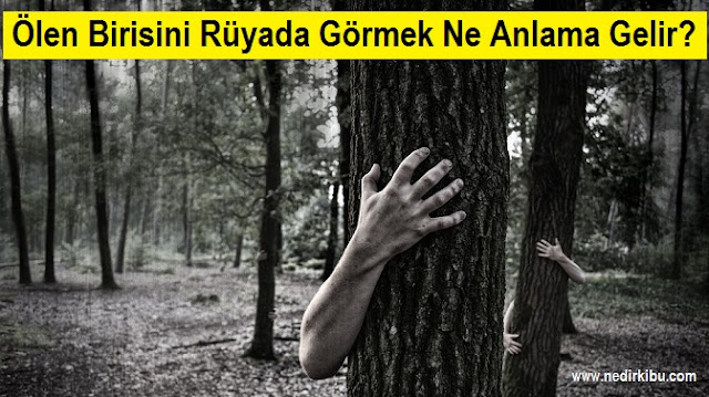 Ölen Birisini Rüyada Görmek Ne Anlama Gelir, Rüyada Ölen Birisini Canlı Görmek Ne Anlama Gelir?