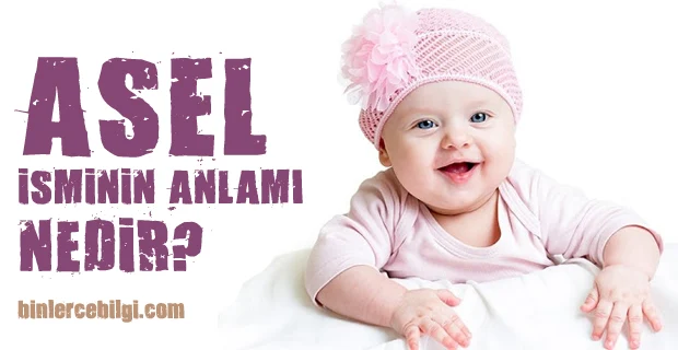 Asel ne demek? Asel isminin anlamı nedir? Asel adı kuranda geçiyor mu? Asel ismi hakkında kısa bilgiler. Asel isminin anlamı hakkında merak edilenler..