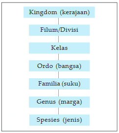 Pemberian Nama Makhluk Hidup dan Kunci Determinasi Lengkap Dengan Contoh