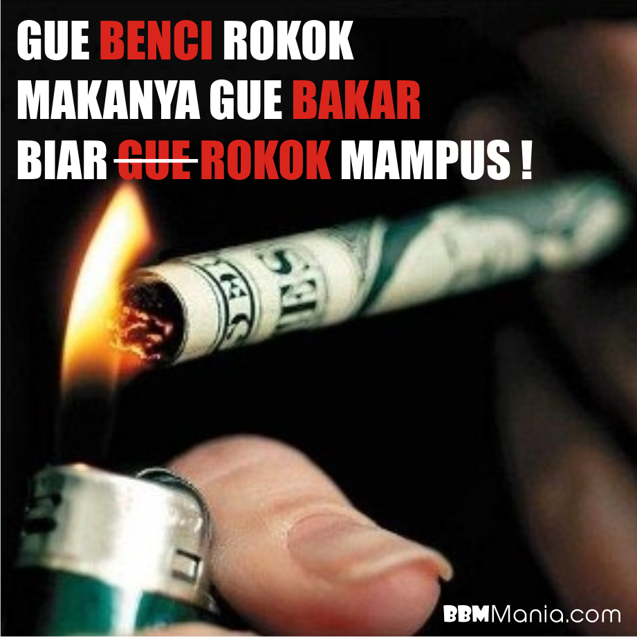 Kata Lucu Rokok Cikimmcom