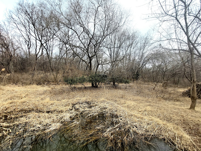 길동생태공원