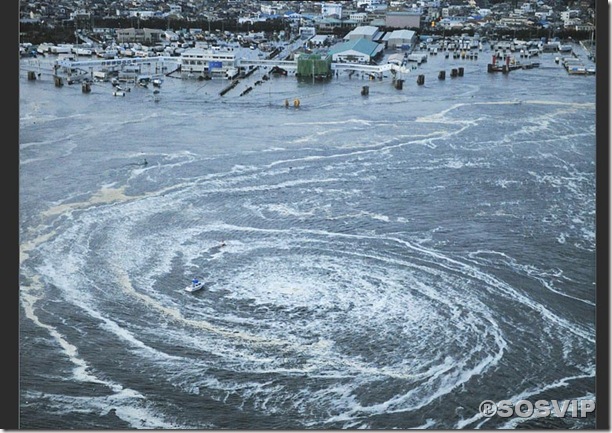 Tsunami Japao Terremoto.jpg (10)