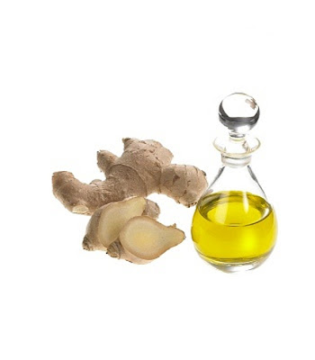 Ginger Root Oil Health Benefits