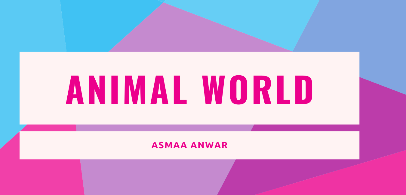 Animal world