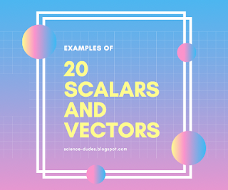 20 Examples Of Scalar and Vector Quantities List