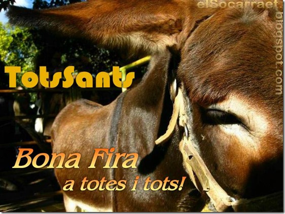 BONA FIRA TOTS SANTS elSocarraet