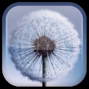 Galaxy S3/S4 Live Wallpaper v1.4.2 APK