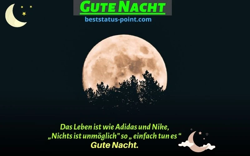 gute nacht bilder lustig neu kostenlos