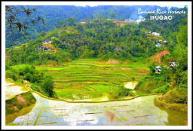 banaue+rice+terraces+Ifugao.jpg