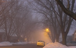 Foggy Evening Jan 31 2010 (3)_1857Foggy Evening Jan 31 2010 (3)Compressed