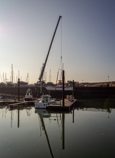 Photo of Tinkerbell being lifted back into the water