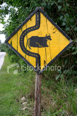 Blog FUAD - Informasi Dikongsi Bersama: Funny Road Signs (2)