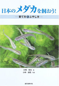 日本のメダカを飼おう!―育て方とふやし方