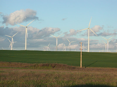 wind farm, wind power, wind energy, wind, renewable energy