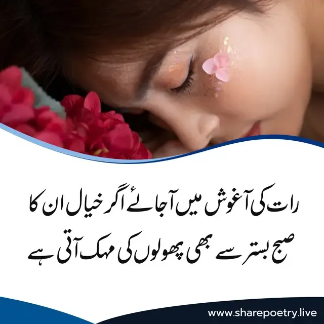 Get The Best Good Night Urdu in Poetry 2 Lines Images