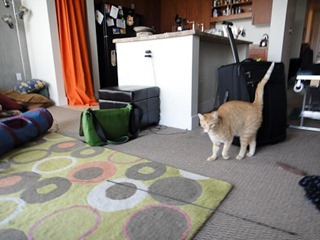 065dev-DSC03280