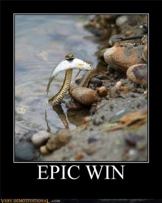 Top 10 Funny Demotivational Posters Feauring Animals