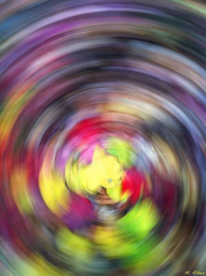 camera spin over autumn leaves, Maine - photo by Michael Alden