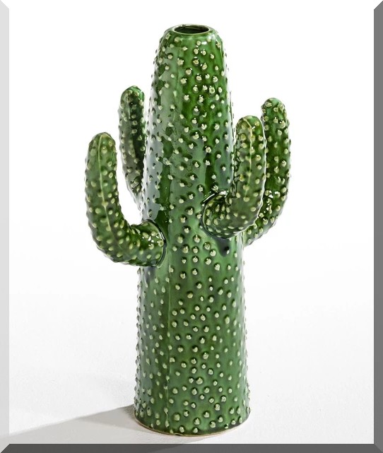 vase-cactus-la-redoute