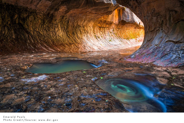 pools of greenish water shaded in an alcove