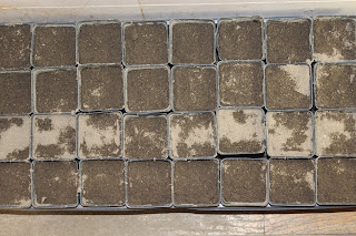 containers with seeds planted