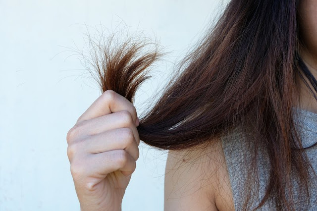 rambut bercabang