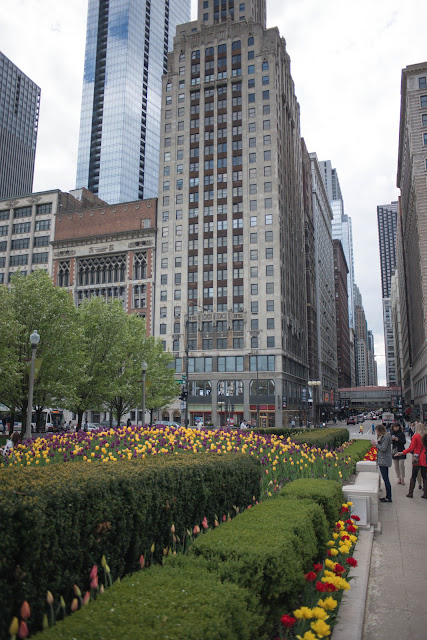 Chicago Architecture  Photography Tours 