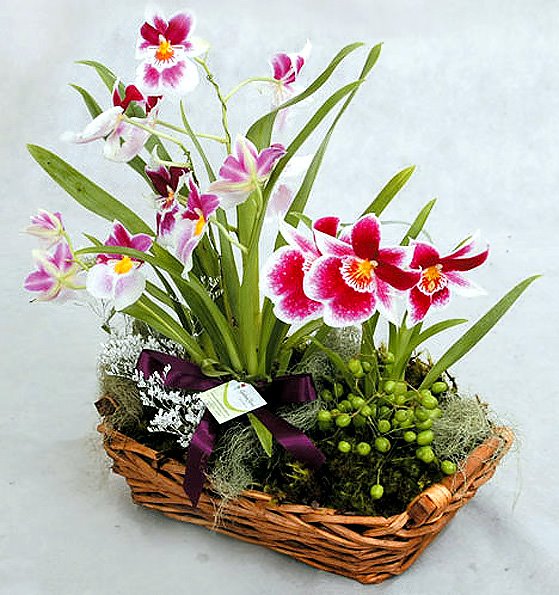 good flower gifts ideas