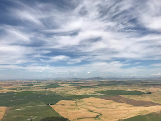 top of Steptoe Butte looking at farm hills in the Palouse region