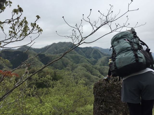 御前山から高柄山への登山道