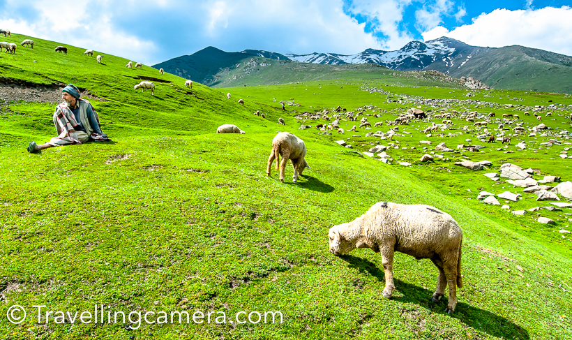I love exploring hills and road journeys make these explorations special. Road Journey from Delhi to Srinagar through Mughal Road has been one of the best Road Journeys so far. After 3 years, today I came across some these photographs from the ride and thought of sharing this post with Travel & Photography enthusiasts.Mughal Road is the road between Bafliaz to Shopian district in the Kashmir valley. Bafliaz is a town in the Poonch district of Jummu & Kashmir state of India. Mughal road is approximately 85 kilometers which passes through beautiful Pir Panjal Mountain range Mughal road brings Poonch and Rajouri districts closer to Srinagar in Kashmir valley. The distance between Srinagar and Poonch has been reduced from 588km to 126km through Mughal Road. This route used to be old Mughal road which is constructed again through beautiful terrains of Kashmir.  Mughal road was historically used by Moghul emperors to travel and conquer Kashmir in 16th century. Mughal road was used by Akbar to conquer Kashmir in 1586 and his son Emperor Jahangir died while returning from Kashmir on this road near Rajouri.Mughal Road also makes for alternate road route to Kashmir valley from rest of India, other than main Jammu Highway through Jawahar Tunnel (Banihal Tunnel).The famous Mughal road passes through Buffliaz, Behramgalla, Chandimarh, Poshana, Chattapani, Peer Ki Gali , Aliabad, Zaznar, Dubjan, Heerpora and Shopian. Hirapor Wildlife Sactuary also comes on the way. In fact Mughal road crosses through Mughal road in Kashmir.Mughal road crosses through beautiful landscapes full of high deodars, huge mountains, snow covered peaks, green meadows, water streams of different sizes, army points and lot more. On our way, we took few breaks for tea, snacks & lunch. There are very few options for lunch but you can enjoy tea at different places on Mughal Road.