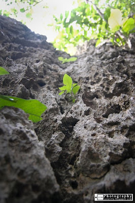 Hundred Islands National Park-Pangasinan