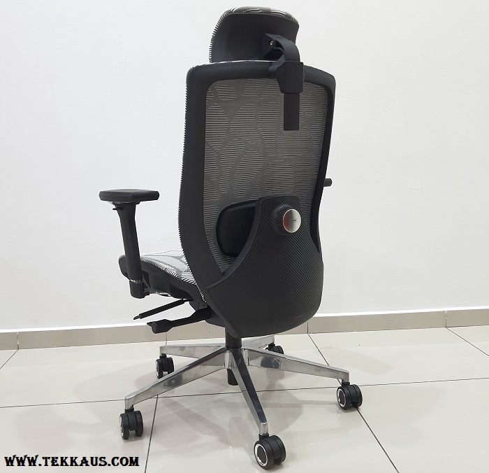 Dorzal Max Ergonomic Chair  Lumbar Support 2D