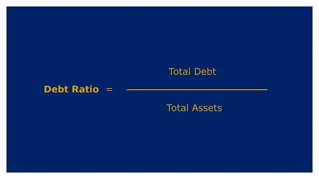 A financial metric used to assess how much of an organization's assets are financed by debt, or how much leverage the company has.