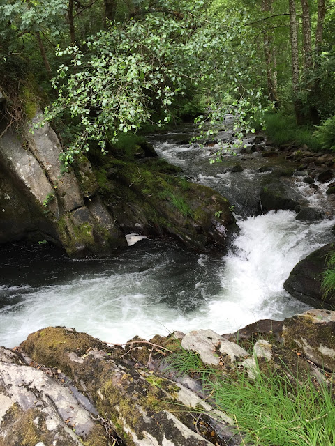 Spain, Marronda forest and the Eo River   by E.V.Pita (2015)  http://evpita.blogspot.com/2015/06/spain-marronda-forest-and-eo-river.html   Fraga de Marronda - río Eo (Baleira, Lugo)  por E.V.Pita (2015)