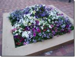 clip_image006