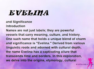 meaning of the name EVELINA