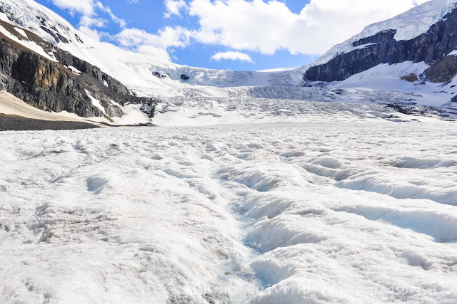 哥倫比亞冰原, Columbia Icefield, Glacier adventure, 冰川車, ice explorer