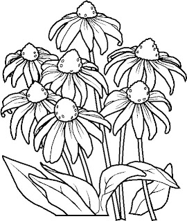 flower coloring pages