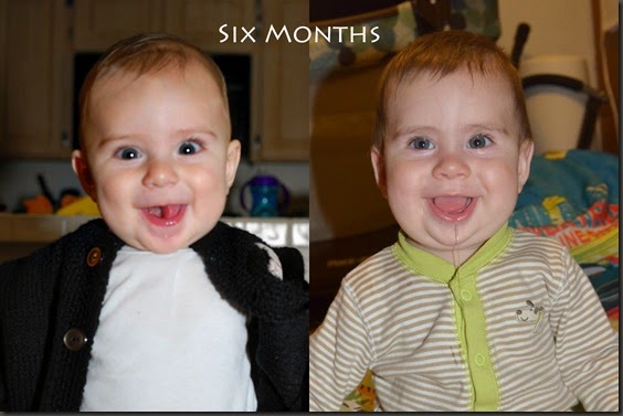 6months