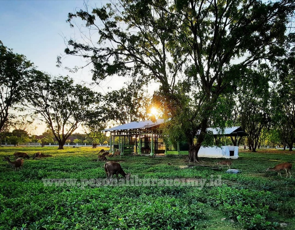 Agung Fantasi Waterpark Widasari Kabupaten Indramayu, Jawa Barat : Agung Fantasi Waterpark ...