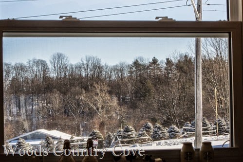 JANUARY 2015 (4 of 14)
